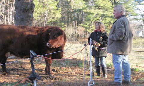 Billie Best got her first cows in 2005.