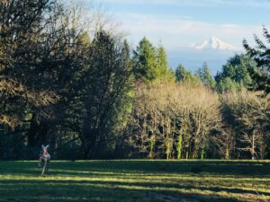 Writer Billie Best spends time at a dog park with her dog Moon